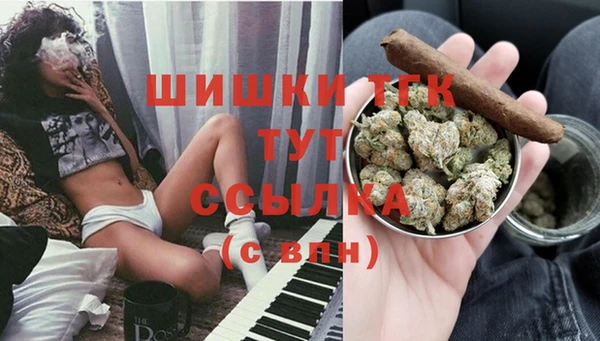 шишки Алзамай